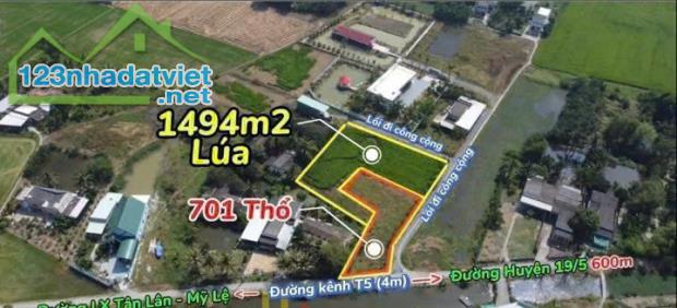 2400m2 đất 3 mặt tiền đường ( có 700m2 thổ) xã Tân Lân, Cần Đước Giá 4 tỷ - 2