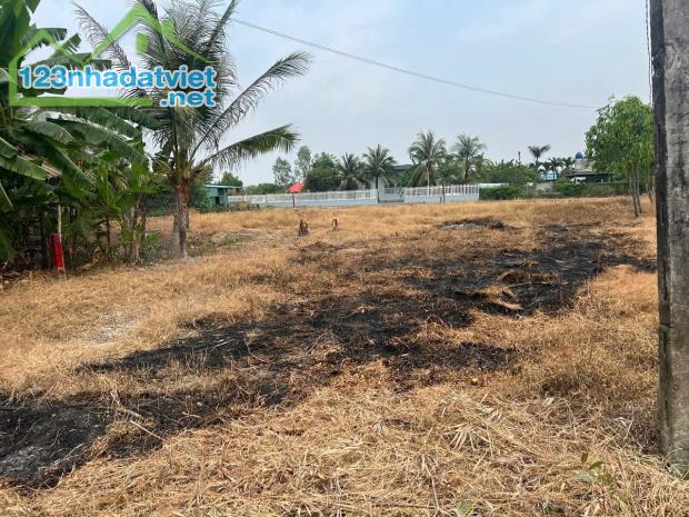 2400m2 đất 3 mặt tiền đường ( có 700m2 thổ) xã Tân Lân, Cần Đước Giá 4 tỷ - 1