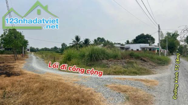 2400m2 đất 3 mặt tiền đường ( có 700m2 thổ) xã Tân Lân, Cần Đước Giá 4 tỷ