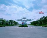 XT213 CHO THUÊ XƯỞNG 4000M2 KCN NHƠN TRẠCH GIÁ CHO THUÊ 5$/M2