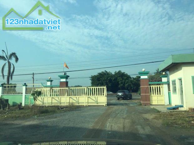 Bán nhà xưởng trong diện tích 5ha, mặt tiền QL22B, Gò Dầu, Tây Ninh - 3