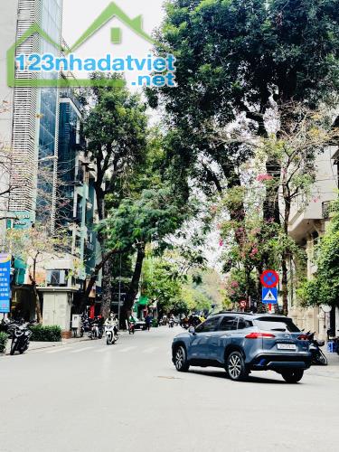 Thông Số Vàng Vị Trí Đắc Địa Mặt Phố Cổ Quận Hai Bà Trưng 175M2 MT 10M Sổ Vuông Giá 145 Tỷ - 1