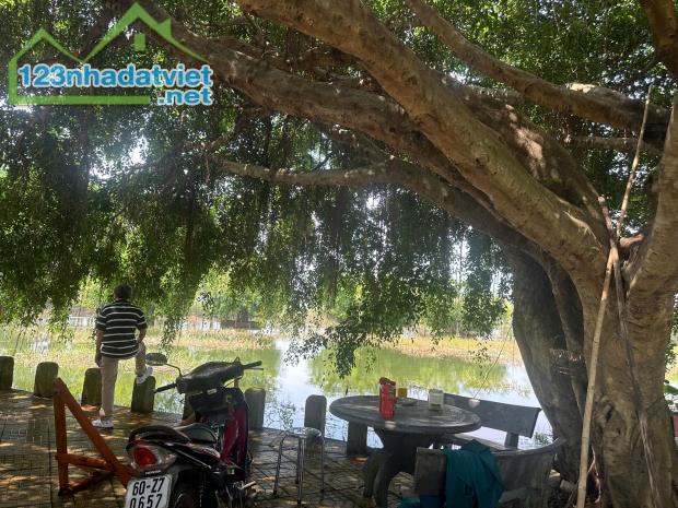 BÁN KHU NGHỈ DƯỠNG VIEW HỒ TRỊ AN - 45,000m2 GIÁ SỐC CHỈ 14 TỶ! - 2