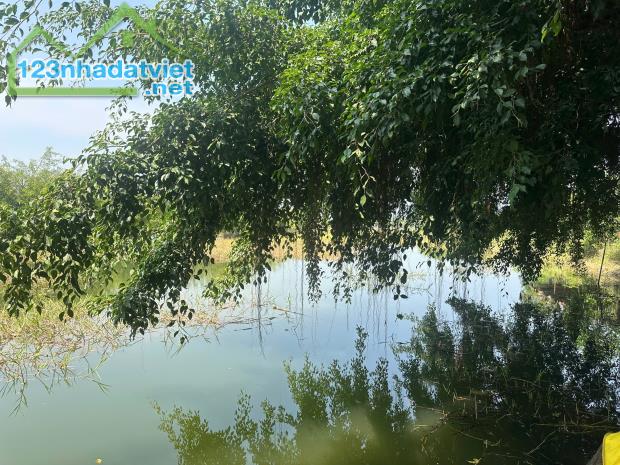 BÁN KHU NGHỈ DƯỠNG VIEW HỒ TRỊ AN - 45,000m2 GIÁ SỐC CHỈ 14 TỶ! - 4