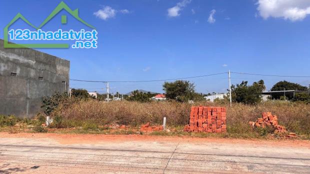 Bán đất nền thổ cư ven Biển Bình thuận giá tốt đầu tư năm 2025 - 5