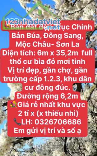 GIÁ RẺ KHU THIÊN ĐƯỜNG DU LỊCH NÀ KA MỘC CHÂU - 2