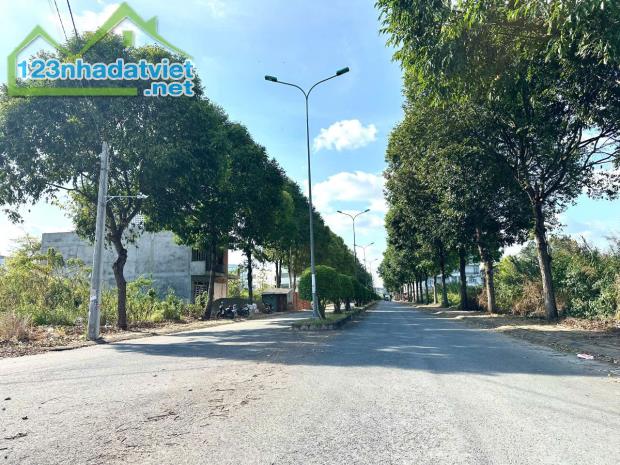 Bán nền 110m2 đường Phượng Hoàng KDC Hoàng Quân, xã Mỹ Hoà, TX Bình Minh, Vĩnh Long. - 4