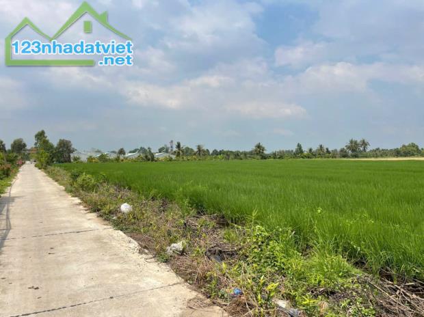 1,5 hecta có 300m2 thổ đất 3 mặt tiền ĐT 824 ấp 7 Lương Hòa, Bến Lức, Long An giá 45 tỷ - 4