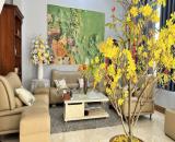 BIỆT THỰ CAO LỖ, NGANG 8M, Ô TÔ NGỦ TRONG NHÀ, SÁT EAON Q8, 186M2 3 LẦU . CHỈ 29 TỶ TL  M