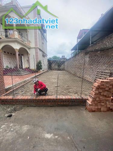 BÁN ĐẤT ĐÀI BI UY NỖ ĐÔNG ANH - 97.6M2 - SÁT TRUNG TÂM HUYỆN - GIÁ CHỈ 5X TIỂU HỌC - 1