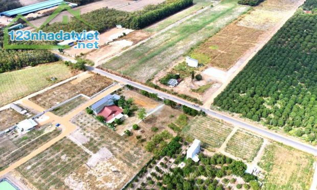 Bán 1.000m2 Đất Chơn Thành Mặt Tiền Quốc Lộ Cty Xí Nghiệp KCN Hiện Hữu 460tr