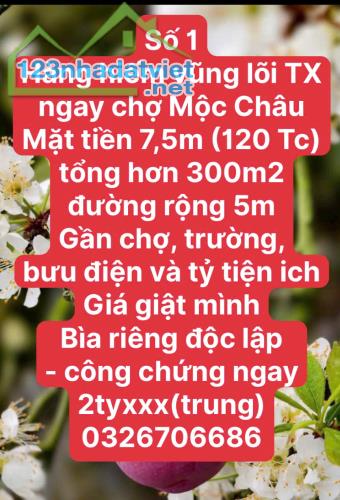 600 m2  FULL THỔ CƯ TẠI THIÊN ĐƯỜNG MỘC CHÂU - 3