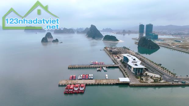 Chính thức nhận booking Tòa The Harmony View Vịnh Di Sản - 1