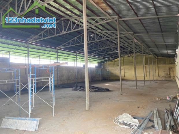 Đất tổng dt 5000m2 skc xã Tân Lập, huyện Tân Thạnh giá 19 tỷ - 2