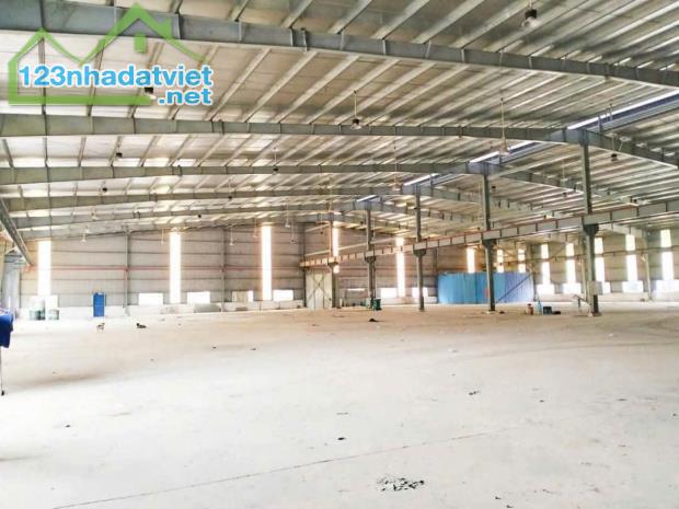 Cho Thuê Xưởng KCN Bình Dương – Diện Tích 10.000m², Giá Tốt. Liên hệ ngay để xem xưởng - 3