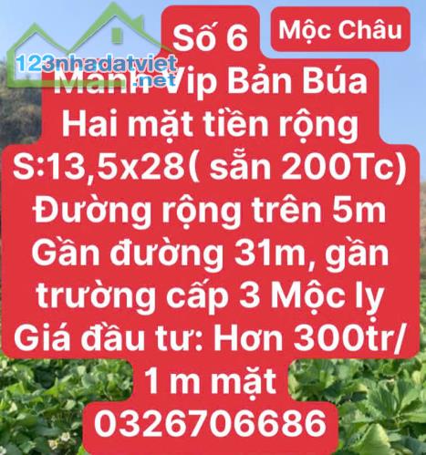 CHỜ LỒNG GẦN KHU DU LỊCH MỘC CHÂU - 2