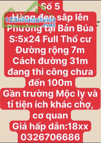 CHỜ LỒNG GẦN KHU DU LỊCH MỘC CHÂU - 3