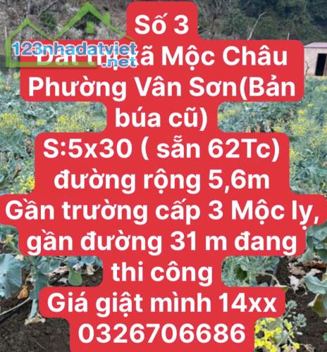 CHỜ LỒNG GẦN KHU DU LỊCH MỘC CHÂU - 4