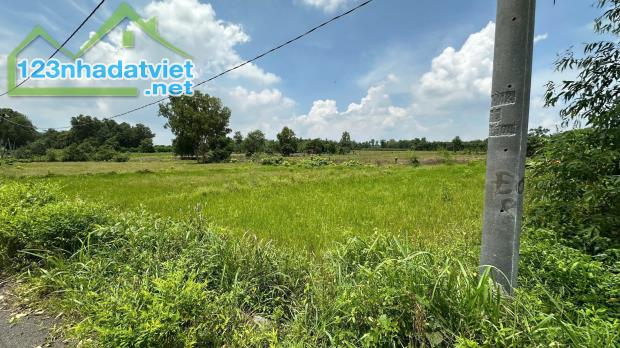 ĐẤT ĐẸP - GIÁ TỐT - CHÍNH CHỦ CẦN BÁN LÔ ĐẤT Xã Bình Trung, Huyện Châu Đức, Tỉnh Bà Rịa - - 2