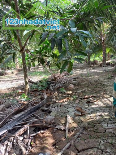 Bán nhà và đất vườn mặt tiền lộ nhựa, Phước Thạnh Châu Thành Bến Tre - 2