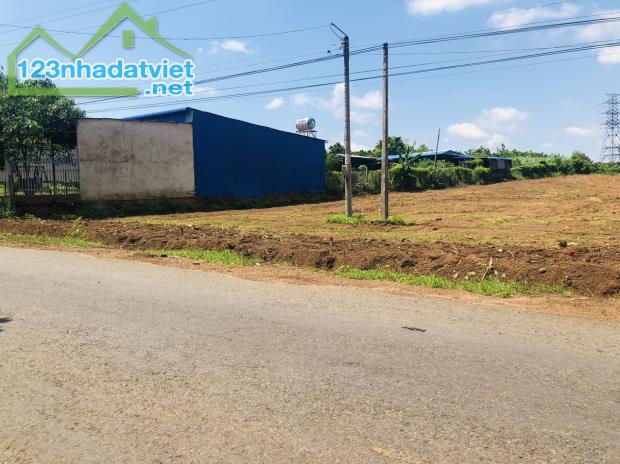 KẸT TIỀN BÁN GẤP LÔ ĐẤT 20X50=1000M2 THỔ CƯ ODT SÁT CHỢ TRƯỜNG HỌC DÂN ĐÔNG GIÁ 490 TR - 5