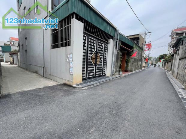 bán đất Kính Nỗ,Uy Nỗ,Đông Anh - 2