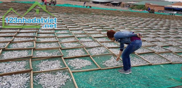 Bán Nhà máy chế biến hải sản Tuy Phong Bình Thuận
DT . 400m2/ 38 tỷ/ - 4