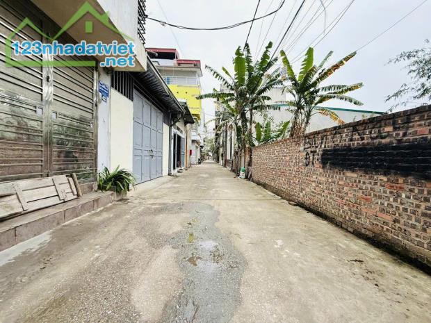 Bán đất Thúy Lĩnh - Lĩnh Nam 90m2 cực rộng, ô tô tránh, kinh doanh, phù hợp xây tòa nhà - 1