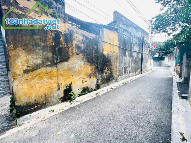 Bán Đất Nguyên Khê Đông Anh, ô tô đỗ cửa, ngõ thông, tiện ích tuyệt vời, 42m2, nhỉnh 3 tỷ - 1