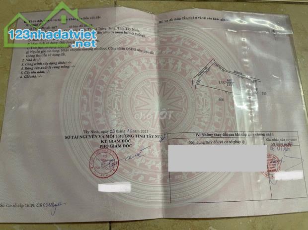 Cơ Hội Sở Hữu Đất Đẹp Tại Tây Ninh – Giá Chỉ 3.2 Tỷ! - 2