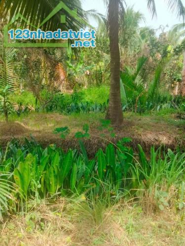 Đất Nhơn Thạnh Thành phố Bến Tre, 300m - 1