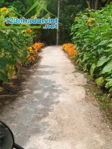 Đất Nhơn Thạnh Thành phố Bến Tre, 300m