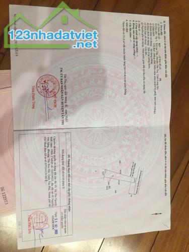 CHÍNH CHỦ CẦN BÁN NHANH ĐẤT TẠI XÃ LẠC TẤN, TÂN TRỤ, LONG AN - 2