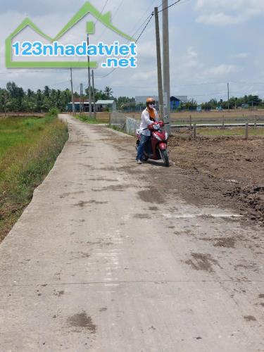 CHÍNH CHỦ CẦN BÁN NHANH ĐẤT TẠI XÃ LẠC TẤN, TÂN TRỤ, LONG AN - 1