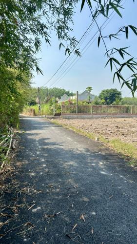 Chính chủ bán kho, xưởng mặt tiền đường nhựa tỉnh lộ 2 vào 20 mét, ngang 30mét - 1