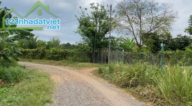 BÁN 1HA VƯỜN SẦU RIÊNG + CÂY ĂN TRÁI TẠI XÃ PHÚ LÝ – SỔ HỒNG RIÊNG – GIÁ TỐT