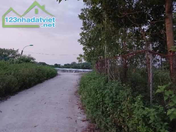 CHÍNH CHỦ GỬI BÁN – MẢNH ĐẤT ĐẸP NHƯ MƠ TẠI YÊN MỸ, THANH TRÌ – CHỈ 1.75 TỶ CHO 290M2 - 1