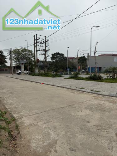 Chính chủ cần bán nhanh lô góc ngay bênh viện ĐK tt Gia Bình Bắc Ninh - 4