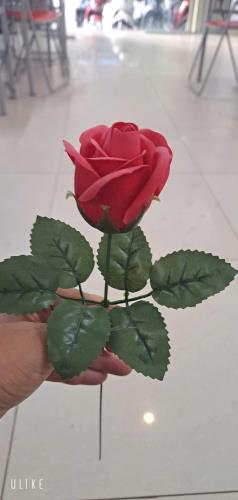 BÁN NHÀ CẤP 4 VỪA Ở VỪA KINH DOANH – VỊ TRÍ ĐẸP, KINH DOANH TIỀM NĂNG TẠI QUẬN 8