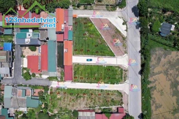 Bán đất đấu giá Đông Anh-Đình Tràng,Dục tú -Giá đầu tư - 1