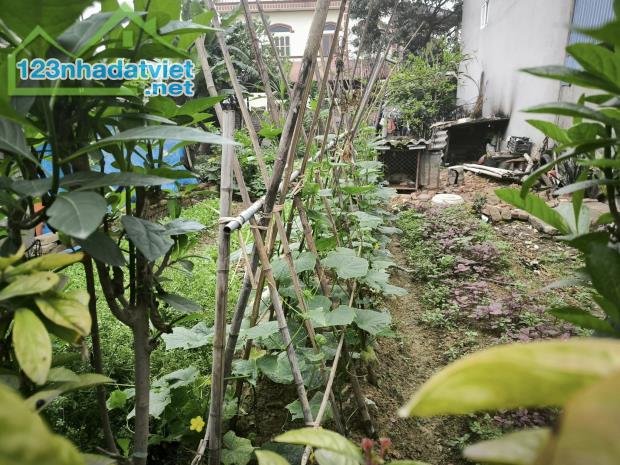 Đất đẹp Nhật Chiêu Tây Hồ - 130m MT5.5m vuông đẹp, chỉ 20 tỷ
