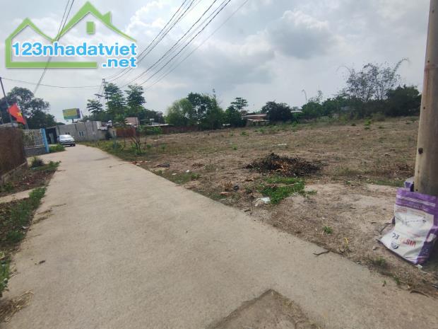 sos t Long Phước Long Thành Đồng Nai , gia tốt dầu tư ... - 2