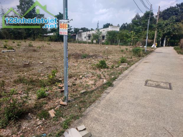 sos t Long Phước Long Thành Đồng Nai , gia tốt dầu tư ...