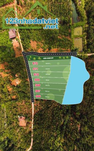 20 lô Đất 1315m², Đ.6m – Đắk Wer Tỉnh Đắk Nông 3xx tr - 3