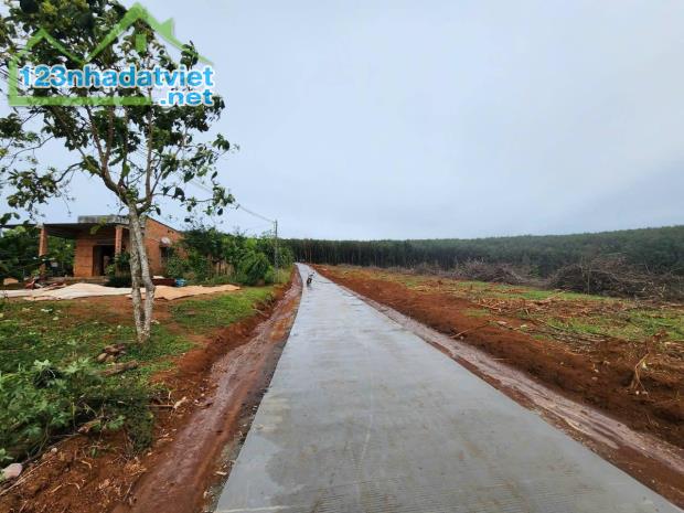 20 lô Đất 1315m², Đ.6m – Đắk Wer Tỉnh Đắk Nông 3xx tr