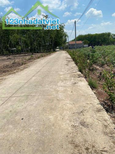 159m2 sẵn 100m2 đất ở đường bê tông Phú Giáo Bình Dương giá 300 triệu - 1