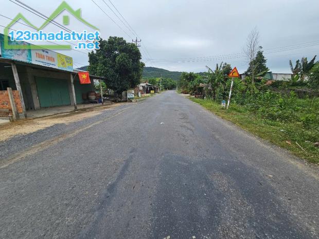 Bán đất mặt tiền Tỉnh Lộ 8 Khánh Bình gần trại cai nghiện phù hợp làm kho xưởng - 4