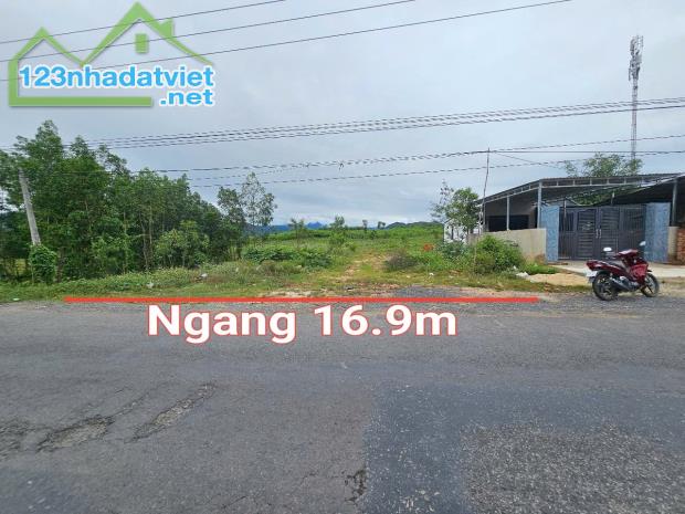 Bán đất mặt tiền Tỉnh Lộ 8 Khánh Bình gần trại cai nghiện phù hợp làm kho xưởng - 3