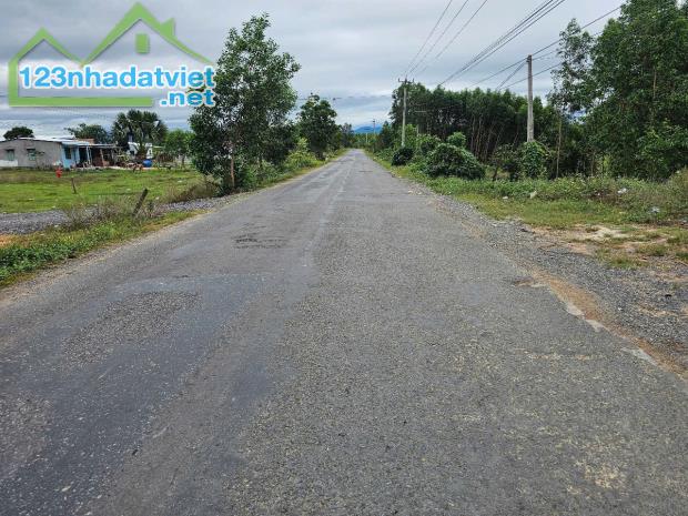 Bán đất mặt tiền Tỉnh Lộ 8 Khánh Bình gần trại cai nghiện phù hợp làm kho xưởng - 2