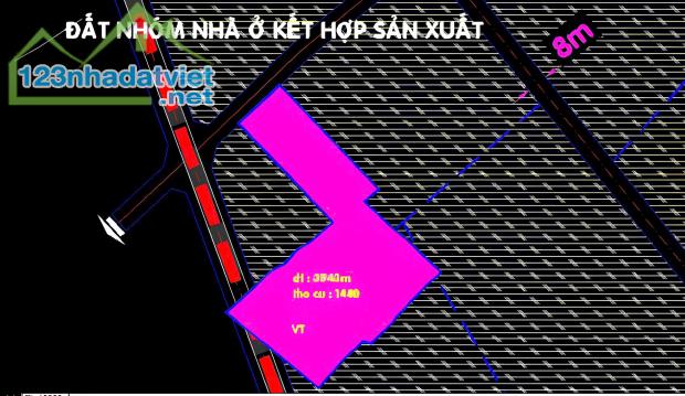 3543m2 đất mặt tiền đường nhựa hẻm Nguyễn Kim Cương, xã Tân Thạnh Đông giá 23 tỷ - 3